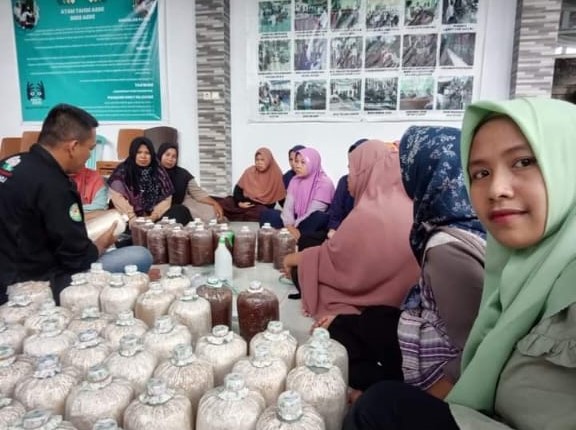 Pelatihan UMKM